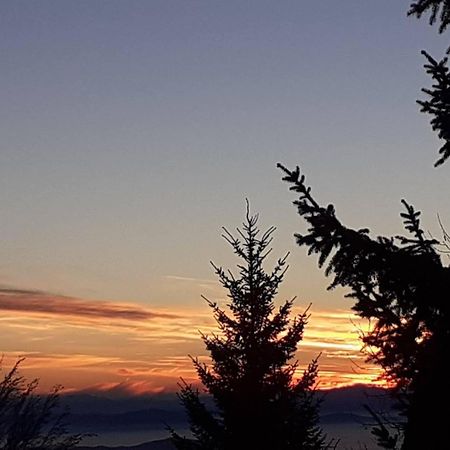 Vikend Kuca Cairovic Villa Kopaonik Bagian luar foto